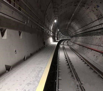 Composite Platform for Emergency Evacuation for Subway(Metro)