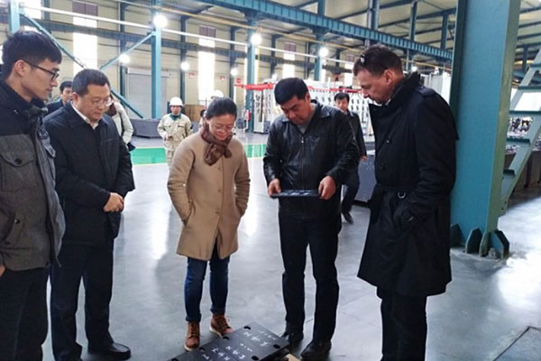 China Manufacturer Rail Pads, Rail Clips, Rail Bolts for Rail Fastening System - Henan ZhongBo Railway Technology Co., Ltd